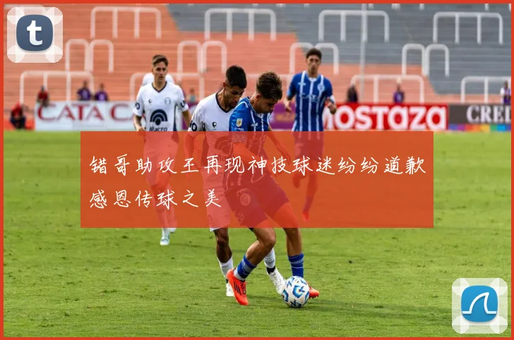 错哥助攻王再现神技球迷纷纷道歉感恩传球之美