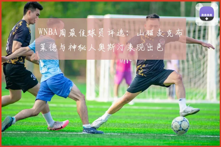 WNBA周最佳球员评选：山猫麦克布莱德与神秘人奥斯汀表现出色